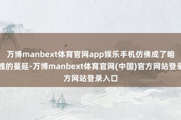 万博manbext体育官网app娱乐手机仿佛成了咱们体魄的蔓延-万博manbext体育官网(中国)官方网站登录入口