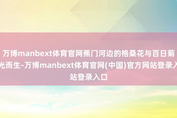 万博manbext体育官网蕉门河边的格桑花与百日菊曙光而生-万博manbext体育官网(中国)官方网站登录入口