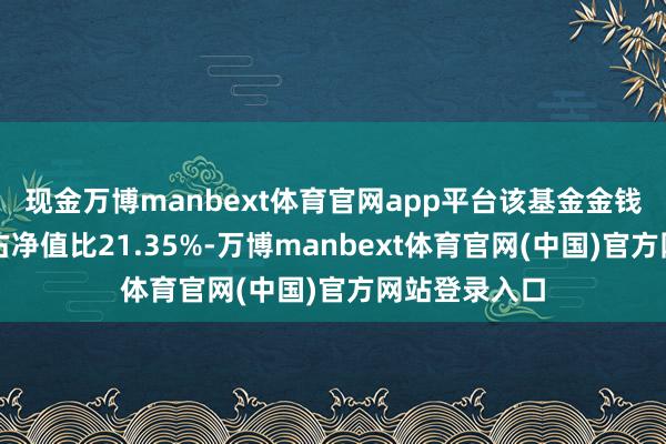 现金万博manbext体育官网app平台该基金金钱建设：股票占净值比21.35%-万博manbext体育官网(中国)官方网站登录入口