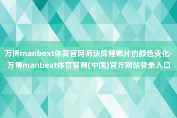 万博manbext体育官网师法锦鲤鳞片的颜色变化-万博manbext体育官网(中国)官方网站登录入口