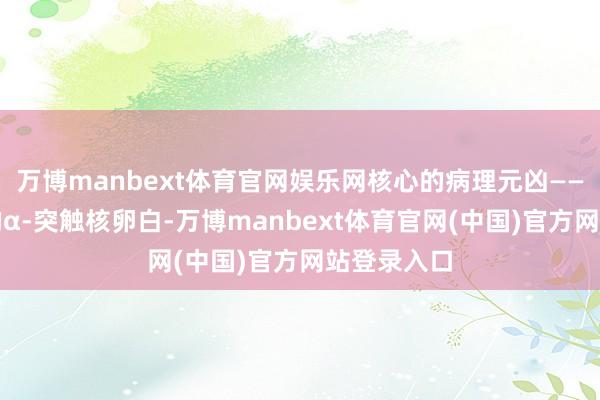 万博manbext体育官网娱乐网核心的病理元凶——造作折叠的α-突触核卵白-万博manbext体育官网(中国)官方网站登录入口