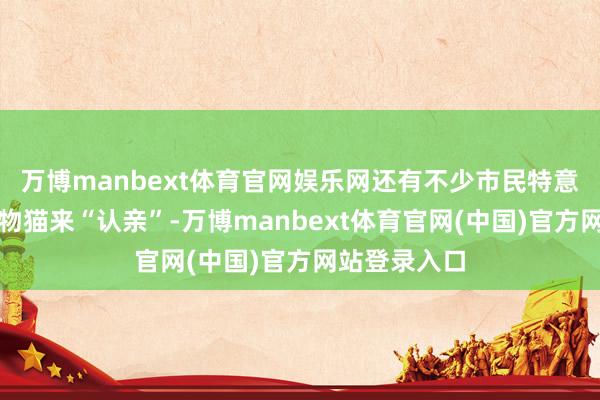 万博manbext体育官网娱乐网还有不少市民特意抱着自家宠物猫来“认亲”-万博manbext体育官网(中国)官方网站登录入口